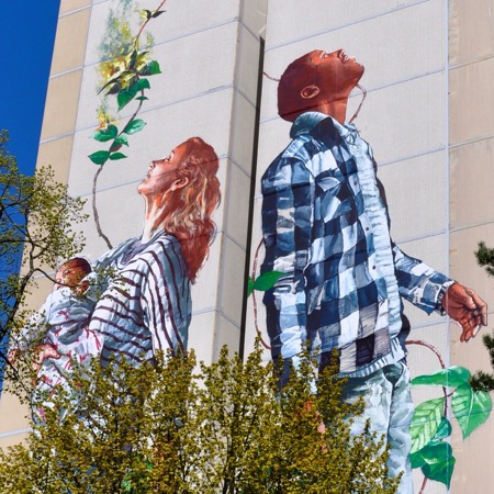 fintan magee